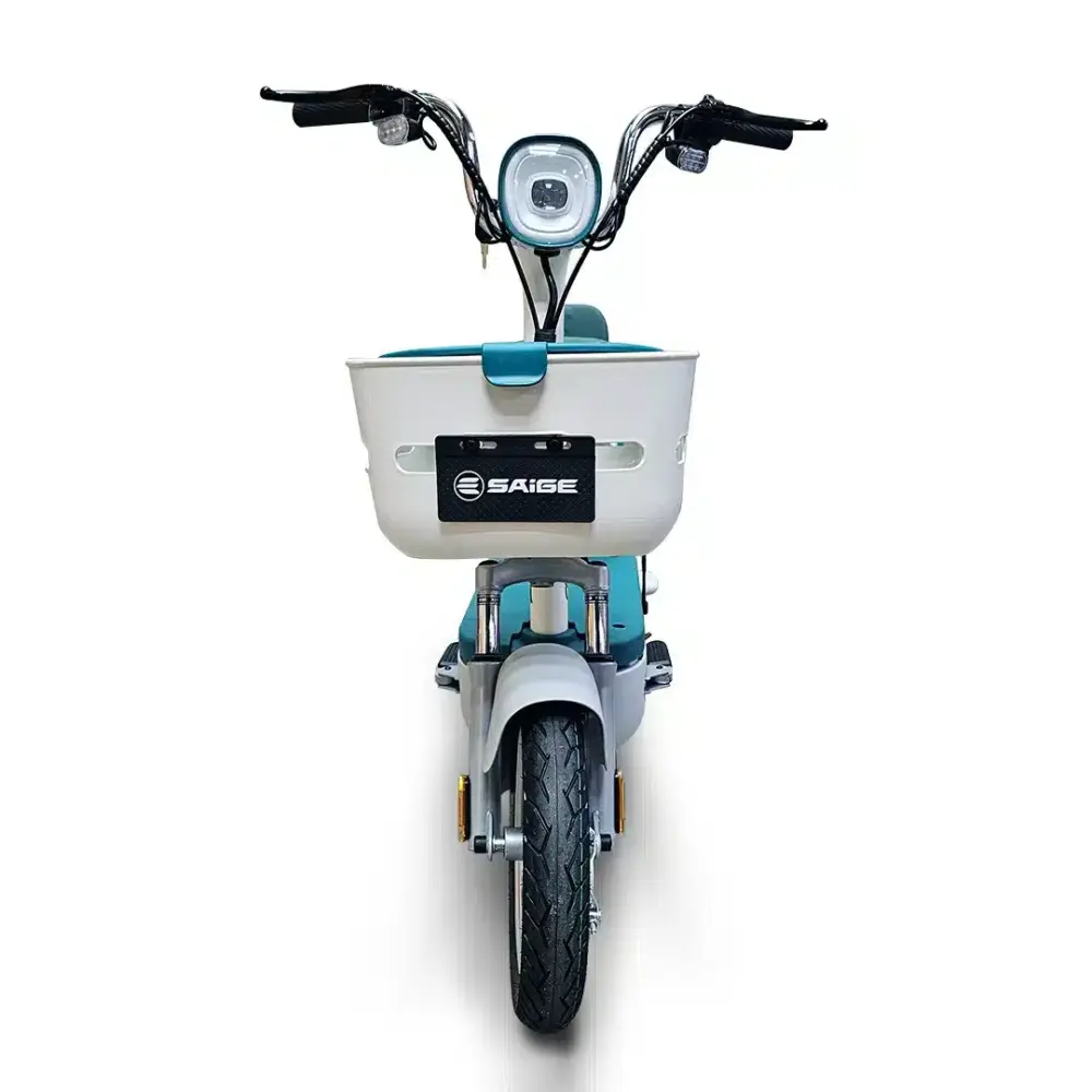 Saige-front.psd SAiGE YIXIN 2025